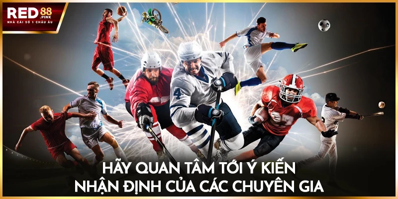 Hãy quan tâm tới ý kiến nhận định của các chuyên gia