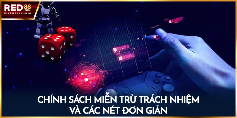 Chính sách miễn trừ trách nhiệm và các nét đơn giản