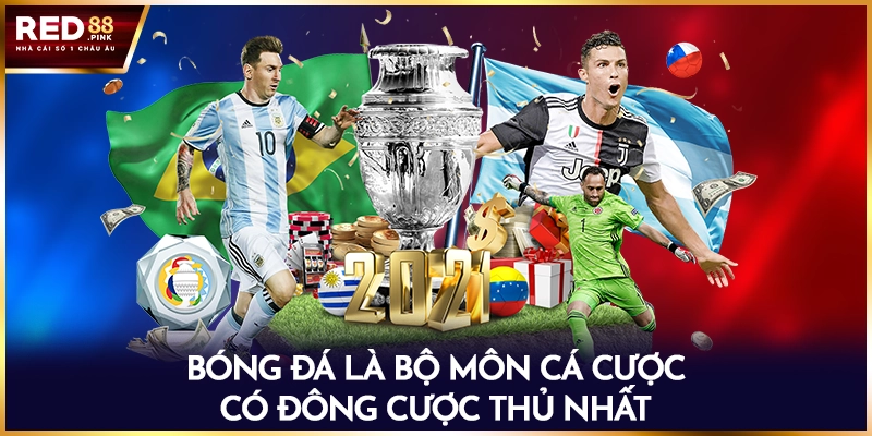 Bóng đá là bộ môn cá cược có đông cược thủ nhất